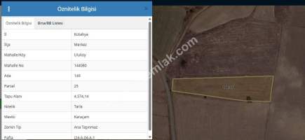 Kütahya Merkez Uluköy'de 4.574M2 Satılık Fırsat Tarla 6