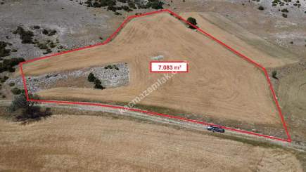 Kütahya Merkez Uluköy'de 7.083 M2 Satılık Fırsat Arsa 19