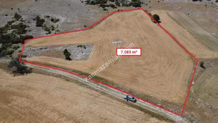 Kütahya Merkez Uluköy'de 7.083 M2 Satılık Fırsat Arsa 17