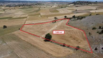 Kütahya Merkez Uluköy'de 7.083 M2 Satılık Fırsat Arsa 22