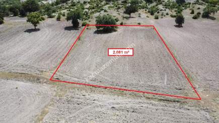 Kütahya Merkez Uluköy 2081 M2 Satılık Tarla 15