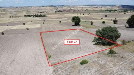 Kütahya Merkez Uluköy 2081 M2 Satılık Tarla 17