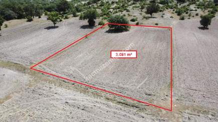 Kütahya Merkez Uluköy 2081 M2 Satılık Tarla 9