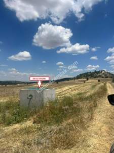 Kütahya Merkez Uluköy 2081 M2 Satılık Tarla 5