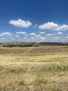 Kütahya Merkez Uluköy 2081 M2 Satılık Tarla 8