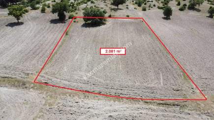 Kütahya Merkez Uluköy 2081 M2 Satılık Tarla 10
