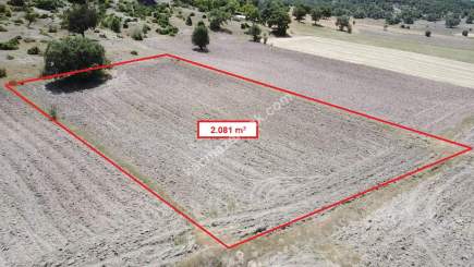 Kütahya Merkez Uluköy 2081 M2 Satılık Tarla 11