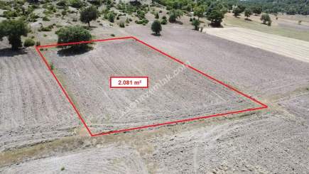 Kütahya Merkez Uluköy 2081 M2 Satılık Tarla 19