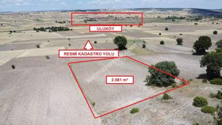 Kütahya Merkez Uluköy 2081 M2 Satılık Tarla 4