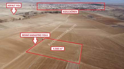 Kütahya Merkez Kızılcaören 4560M2 Satılık Tarla 8