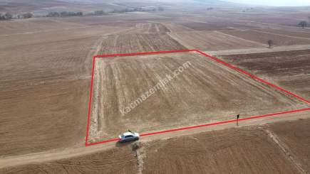 Kütahya Merkez Kızılcaören 4560M2 Satılık Tarla 31