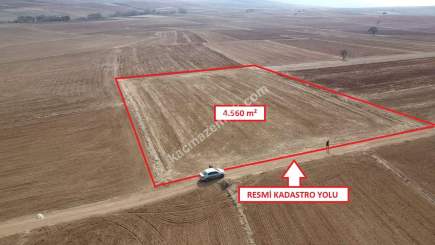 Kütahya Merkez Kızılcaören 4560M2 Satılık Tarla 33