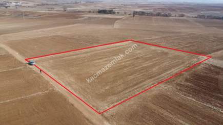 Kütahya Merkez Kızılcaören 4560M2 Satılık Tarla 9