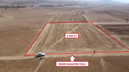 Kütahya Merkez Kızılcaören 4560M2 Satılık Tarla 28