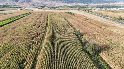 Turhal Arzu Pınarı Köyünde Satılık 13.462.81 Dönüm 1