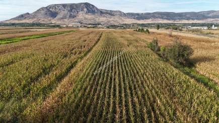 Turhal Arzu Pınarı Köyünde Satılık 13.462.81 Dönüm 3