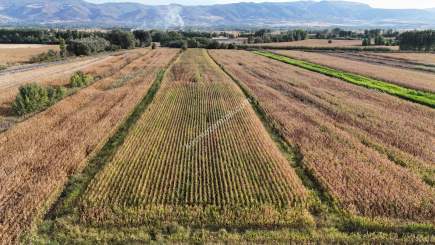Turhal Arzu Pınarı Köyünde Satılık 13.462.81 Dönüm 2
