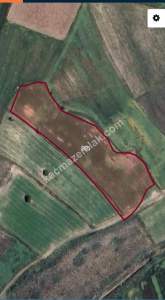 Tokat Yesılyurt Gaziosmanda Yola Yakın Satılık Tarla 5