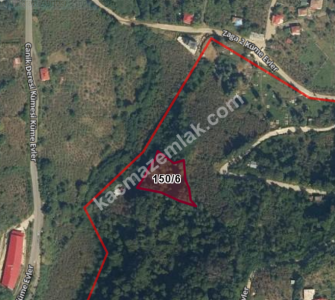 Çeşmeönü Mahallesinde Satılık Fındık Bahçesi