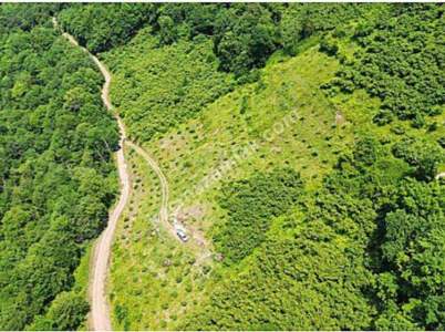 Beşikdüzü Hünerlide Satılık Fındık Bahçesi 1