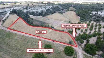 Uşak Ulubey İshaklar Köye Yakın 4.200M2 Satılık Tarla 9