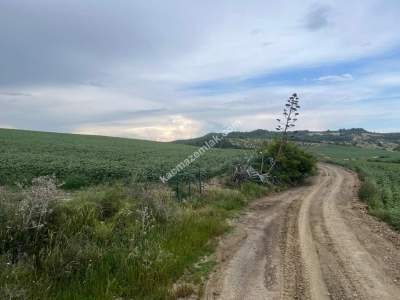 Adana,Çukurova,Karahanda,Satılık Tarla 2