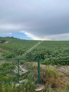 Adana,Çukurova,Karahanda,Satılık Tarla 3