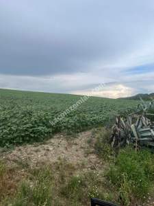 Adana,Çukurova,Karahanda,Satılık Tarla 4