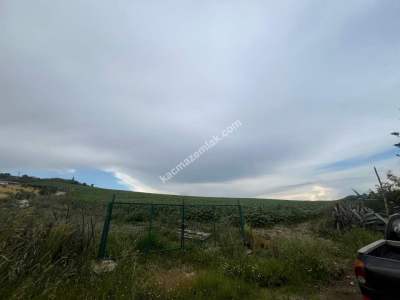 Adana,Çukurova,Karahanda,Satılık Tarla 6