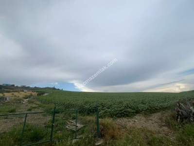 Adana,Çukurova,Karahanda,Satılık Tarla 7