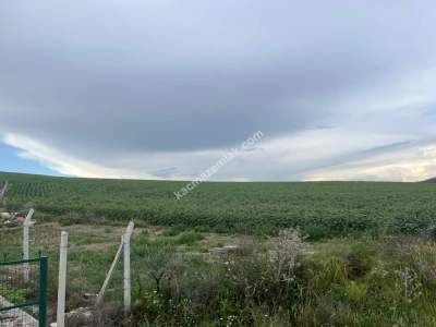 Adana,Çukurova,Karahanda Satılık Tarla. 2