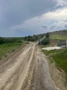 Adana,Çukurova,Karahanda Satılık Tarla. 3