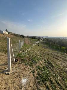 Adana Karaisalı Pirilide Merkezde Satılık Arsa 3