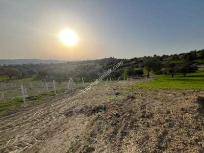 Adana,Çukurova,Pirilide Satılık Arsa - Hobi Bahçesi 3