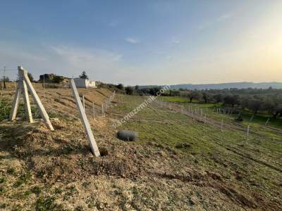 Adana,Çukurova,Pirilide Satılık Arsa - Hobi Bahçesi 4