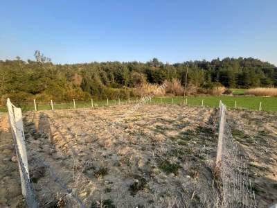 Adana Çukurova Pirilide Hobi Bahçesi 2