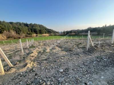 Adana Çukurova Pirilide Hobi Bahçesi 3