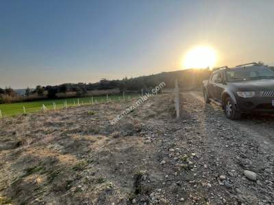 Adana Çukurova Pirilide Hobi Bahçesi