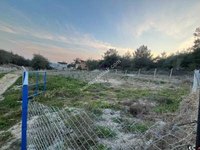 Adana Çukurova Pirili Mahallesinde Satılık Arsa 4