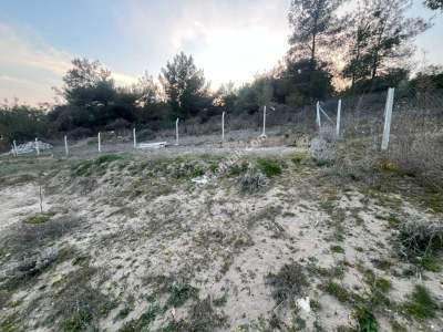 Adana Çukurova Pirili Mahallesinde Satılık Arsa 2