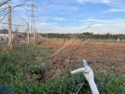 Adana Çukurova Pirili Mahallesinde Satılık Tarla 1