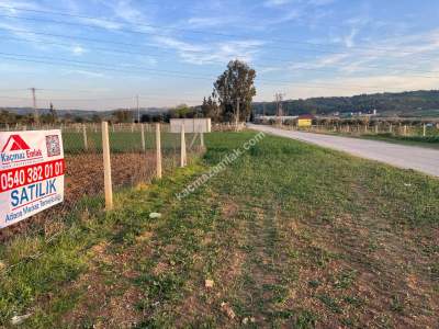 Adana Çukurova Pirili Mahallesinde Satılık Tarla 6