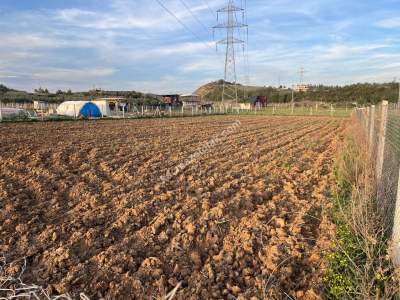 Adana Çukurova Pirili Mahallesinde Satılık Tarla 4