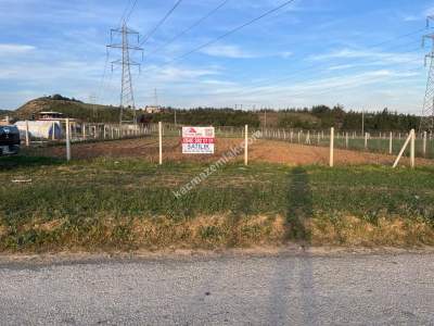 Adana Çukurova Pirili Mahallesinde Satılık Tarla 5