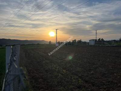 Adana Çukurova Pirili Mahallesinde Satılık Tarla 3