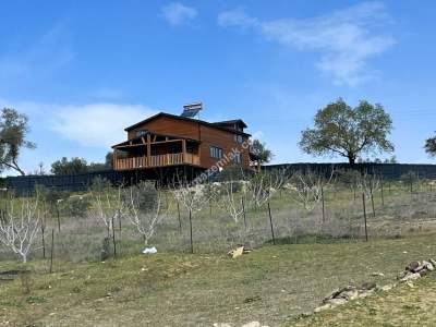 Adana Çukurova Pirili Mahallesinde Ahşap Villa Ve Arazi 2