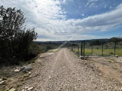 Adana Çukurova Pirili Mahallesinde Ahşap Villa Ve Arazi 17