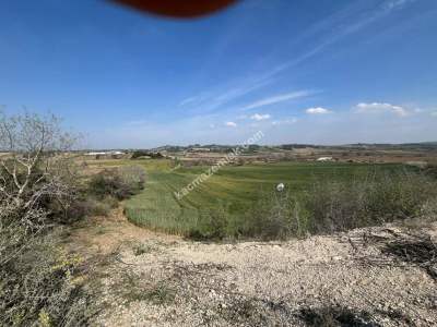 Adana Karaisalıda Çakallı Mahallesinde Satılık Tarla 3