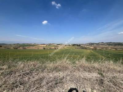 Adana Karaisalıda Çakallı Mahallesinde Satılık Tarla 5