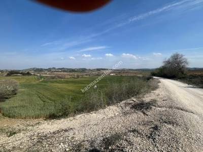 Adana Karaisalıda Çakallı Mahallesinde Satılık Tarla 4